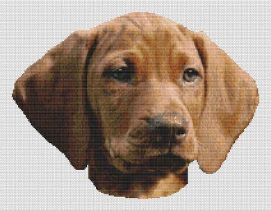 (image for) Vizsla Puppy